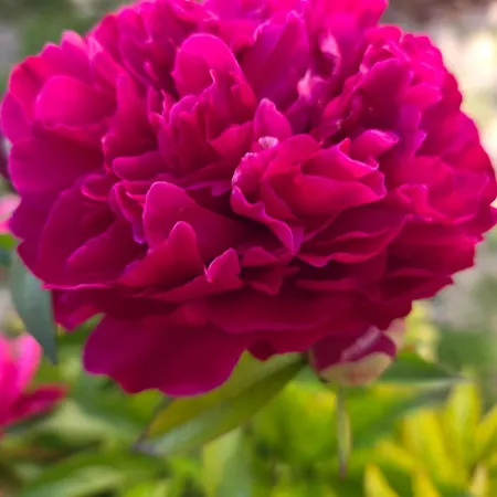 Au Pied Du Lavoir Odile Bed & Breakfast Grezille